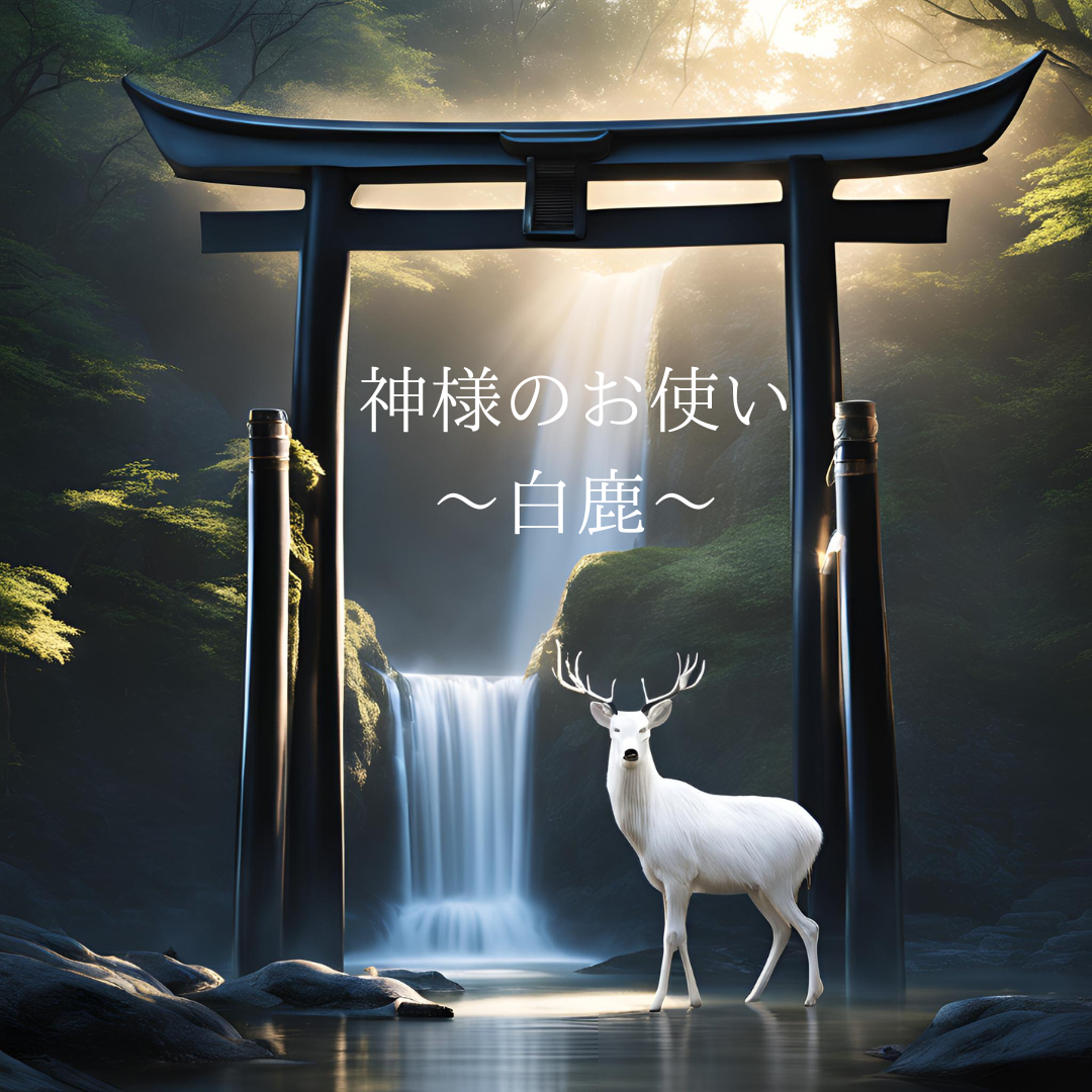 鹿のよしか様 12月の最後は第六十五候「麋角解」(さわしかのつのおつる)です